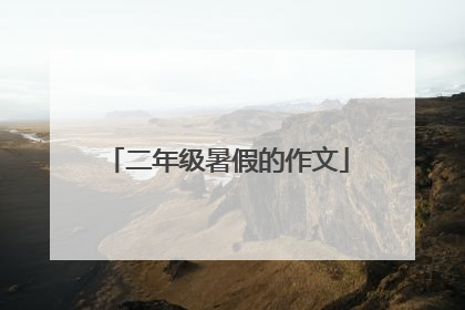 二年级暑假的作文