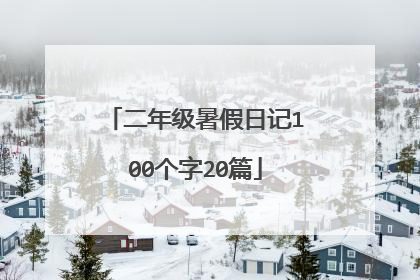 二年级暑假日记100个字20篇