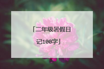 二年级暑假日记100字