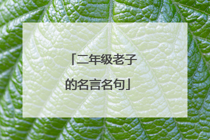 二年级老子的名言名句