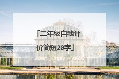 二年级自我评价简短20字
