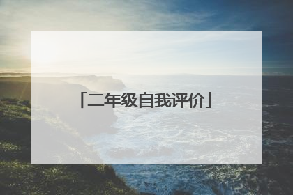 二年级自我评价