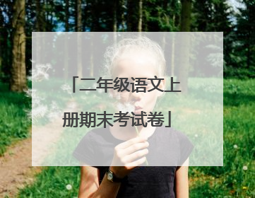 二年级语文上册期末考试卷