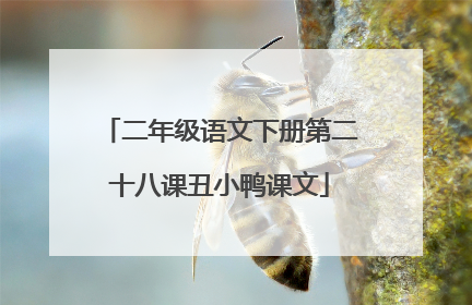 二年级语文下册第二十八课丑小鸭课文