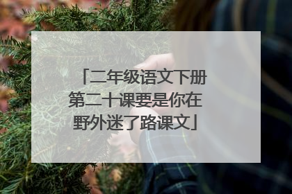 二年级语文下册第二十课要是你在野外迷了路课文
