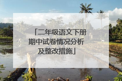二年级语文下册期中试卷情况分析及整改措施