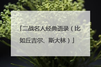 二战名人经典语录(比如丘吉尔、斯大林)