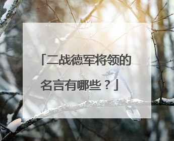 二战德军将领的名言有哪些?