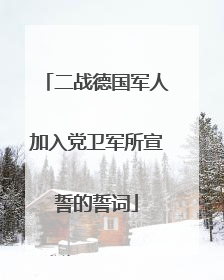 二战德国军人加入党卫军所宣誓的誓词