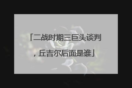 二战时期三巨头谈判，丘吉尔后面是谁