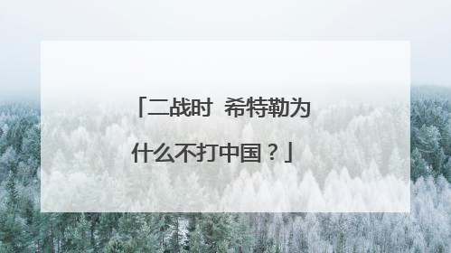 二战时 希特勒为什么不打中国？