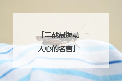 二战最煽动人心的名言