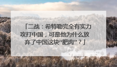 二战：希特勒完全有实力攻打中国，可是他为什么放弃了中国这块“肥肉”？