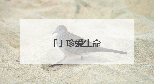 于珍爱生命的名言警句