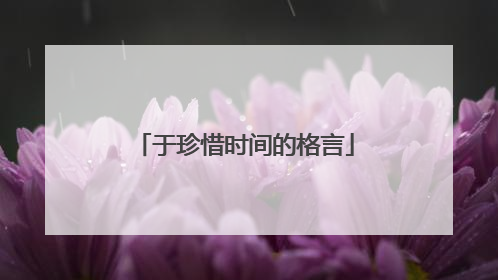 于珍惜时间的格言