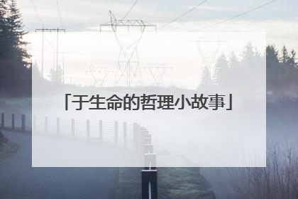 于生命的哲理小故事