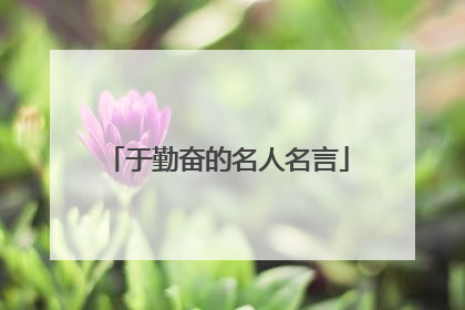 于勤奋的名人名言