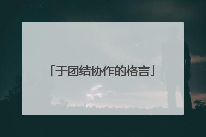 于团结协作的格言