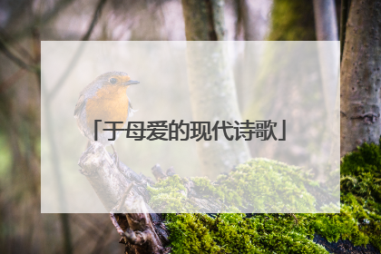 于母爱的现代诗歌
