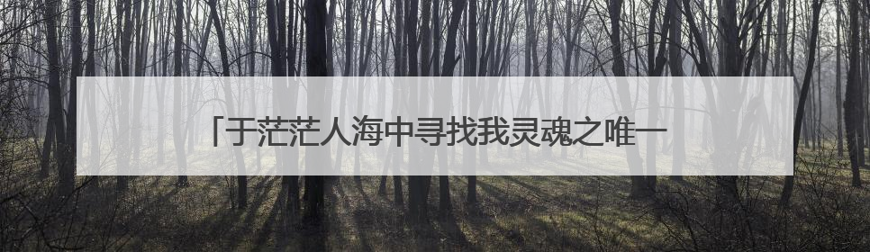 于茫茫人海中寻找我灵魂之唯一伴侣,得之我幸,不得我命。 急求徐志摩原文出处必须原文。