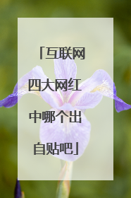 互联网四大网红中哪个出自贴吧