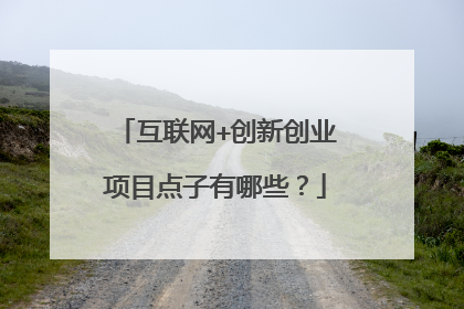 互联网+创新创业项目点子有哪些?