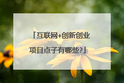 互联网+创新创业项目点子有哪些?