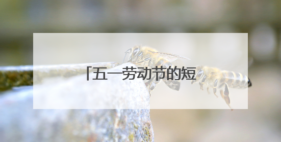 五一劳动节的短语 关于五一劳动节的名言短句