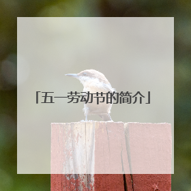 五一劳动节的简介