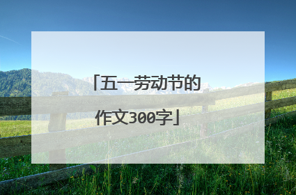 五一劳动节的作文300字