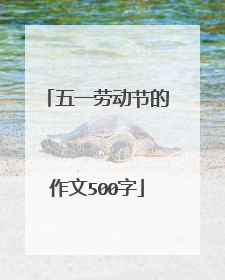 五一劳动节的作文500字