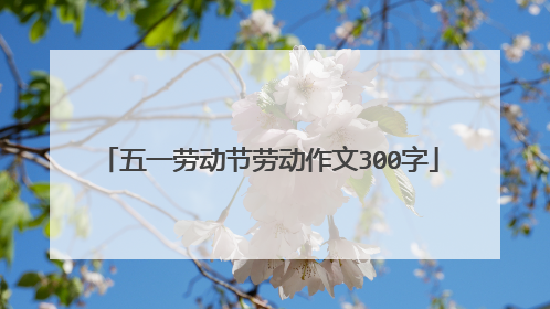 五一劳动节劳动作文300字