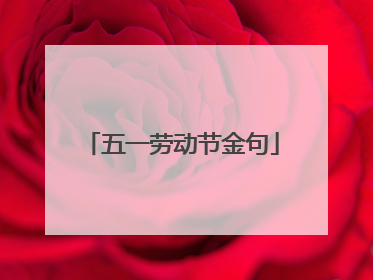 五一劳动节金句