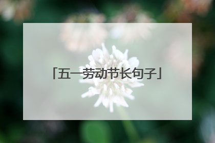 五一劳动节长句子