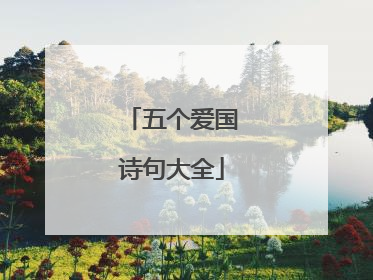 五个爱国诗句大全