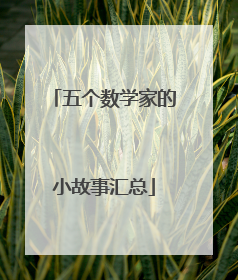 五个数学家的小故事汇总