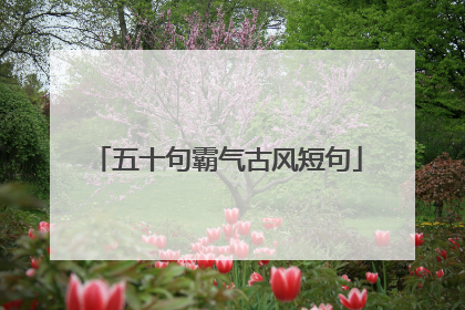 五十句霸气古风短句