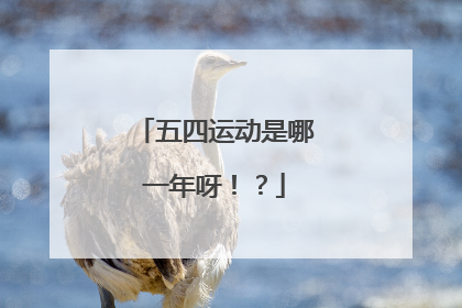 五四运动是哪一年呀!?