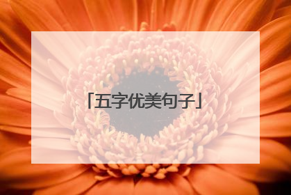 五字优美句子