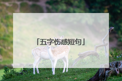 五字伤感短句