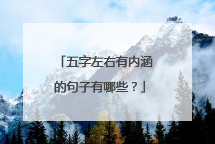 五字左右有内涵的句子有哪些?