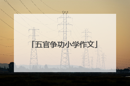 五官争功小学作文