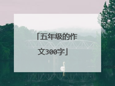 五年级的作文300字