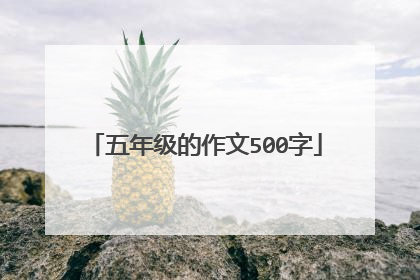 五年级的作文500字