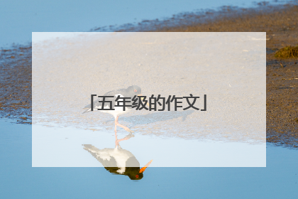 五年级的作文