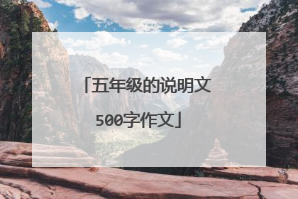 五年级的说明文500字作文
