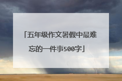 五年级作文暑假中最难忘的一件事500字