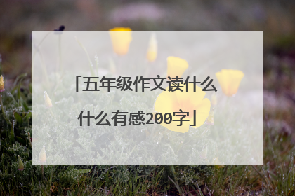五年级作文读什么什么有感200字