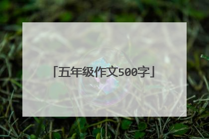 五年级作文500字