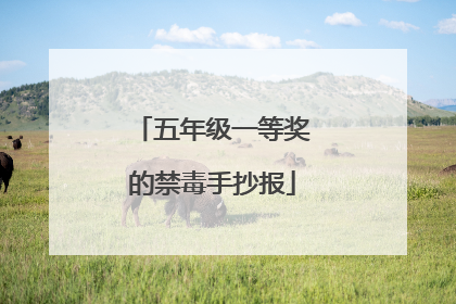 五年级一等奖的禁毒手抄报